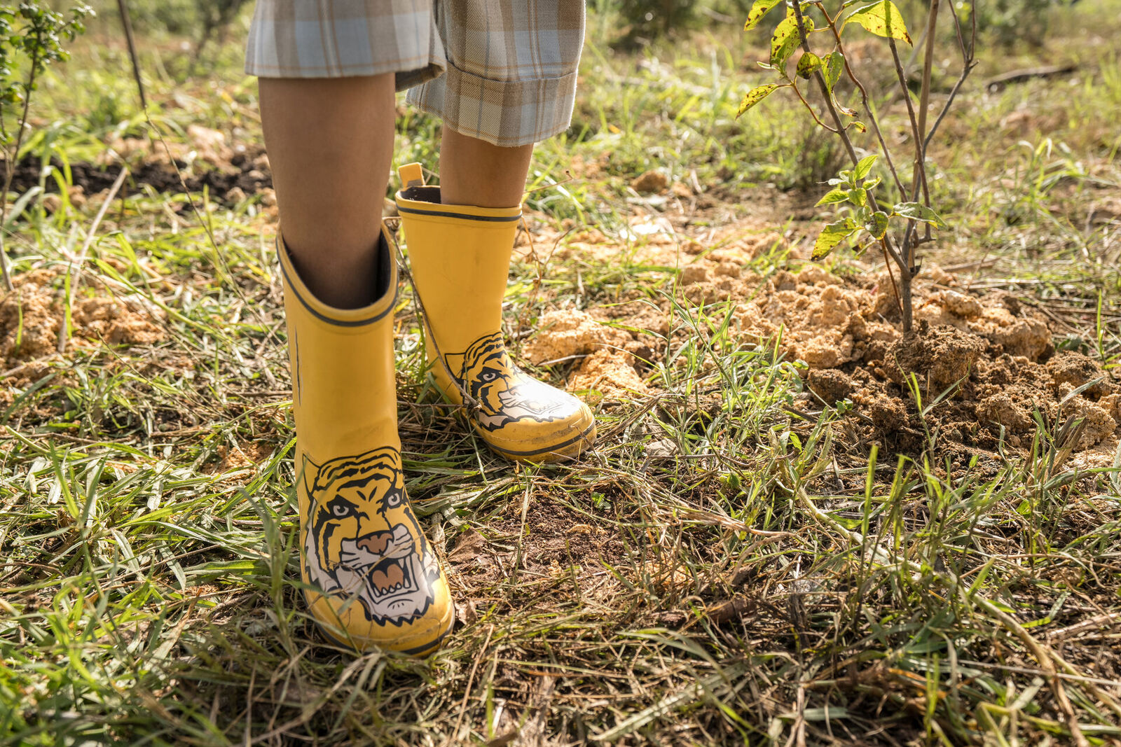 Botas na terra — cada passo conta